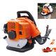 2stroke 42.7cc Commercial Backpack Leaf Blower Gas Powered Snow Blower 7000r/min