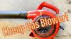 3 Year Old Homelite Gas Blower 26b Review
