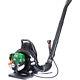 4-stroke Backpack Leaf Blower Snow Or As Snow Blower Gas 37.7cc 1.5hp 580cfm