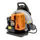 65cc 2 Stroke Gas Powered Leaf Blower Grass Blower Gasoline Backpack Commercial