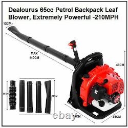 65CC Commercial Gas Leaf Blower Backpack Gas Powered Lawn Blower 2-Strokes