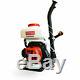 Backpack Fogger Sprayer Duster Leaf Blower 3 Gallon 3HP Gas Mosquito Insecticide