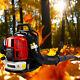 Backpack Gas-powered Blower Leaf Blower 2-strokes Grass Lawn Blower Sweeper 52cc