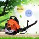 Backpack Leaf Blower Gas Powered Snow Blower 156mph 2-stroke 52cc Engine 3.2hp