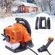 Backpack Leaf Blower Gas Powered Snow Blower 610cfm 42.7cc 2-stroke 280mph 3hp