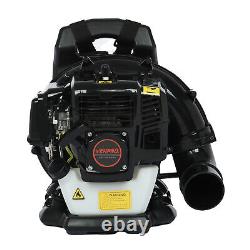 Backpack Leaf Blower Gas Powered Snow Blower 650CFM 63CC 2-Stroke Engine 2.3HP