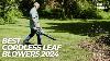 Best Cordless Leaf Blowers 2024 Top 5 Best Cordless Leaf Blowers 2024 Update