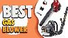 Best Gas Blower In 2021 Choose The Right Gas Blower For You