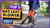 Best Gas Leaf Blower 2021 Top 6 Gas Leaf Blowers Review