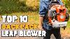 Best Gas Leaf Blower In 2022 Top 10 Gas Leaf Blowers Review