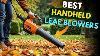 Best Handheld Leaf Blowers In 2024