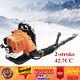 Commercial Backpack Leaf Blower 2-stroke 42.7cc Gas-powered Backpack Blower 1.2l