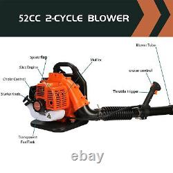 Cordless Gas Powered Backpack Snow Leaf Blower 550CFM 225MPH 2-Stroke Engine US