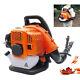 Eb808 Gas Backpack Leaf Blower 2-stroke Powered With Comparison Barrel Comfortable