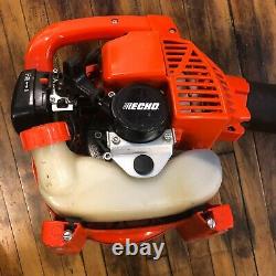 Echo PB-250 Gas Powered Two Stroke Leaf Blower Good Used Working Condition