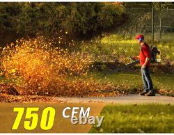 Erommy 76Cc 4-Stroke Engine Gas Powered Backpack Leaf Blower, Adjust the Switch