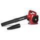 Gas Leaf Blower 200-mph Interchangeable Nozzle Connection Recoil Start 2-cycle