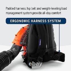 Gas Leaf Blower Powerful Clearing 50.2-cc 2.1 HP 2-Cycle 350BT Backpack Blower