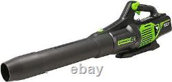 Greenworks Pro 80V (170 MPH / 730 CFM) Brushless Cordless Axial Blower Home