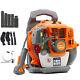 Professional Gas Backpack Leaf Blower Lightweight 2-cycle 43cc 550cfm 190mph