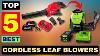 The 5 Best Cordless Leaf Blowers For Cleanups Of 2024 Review