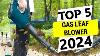Top 5 Best Gas Leaf Blower In 2024 Best Gas Leaf Blower