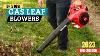Top 5 Best Gas Leaf Blowers On 2023 Gas Leaf Blower Buying Guide