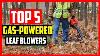Top 5 Best Handheld Gas Powered Leaf Blowers 2024