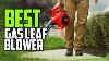 Top 6 Best Gas Leaf Blower Review In 2022 Handheld Gasoline Blower For Lawn Care