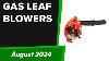 Top 6 Best Gas Leaf Blowers 2024