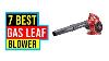 Top 7 Best Gas Leaf Blowers Reviews In 2022 Top 7 Best Gas Leaf Blowers In 2022 Best Reviews Tube