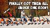 Which Is The Best Stihl Leaf Blower All Stihl Blowers Reviewed