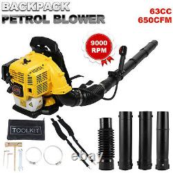 2.1kw Backpack Powerful Blower Gas Leaf Blower 63cc Motor Gas À 2 Temps 650 Cfm