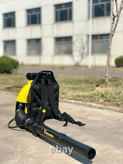 80cc Sac À Dos À Gaz Blower Bagless Canister Vacuum Epa Équipement D'alimentation Yuzhoukee