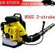 Eb808 Puissant 80cc 2-cycle Motor Gas 850 Cfm 230 Mph Backpack Leaf Blower